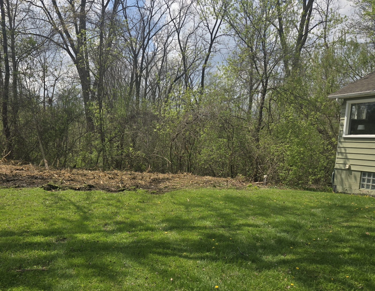 Land clearing